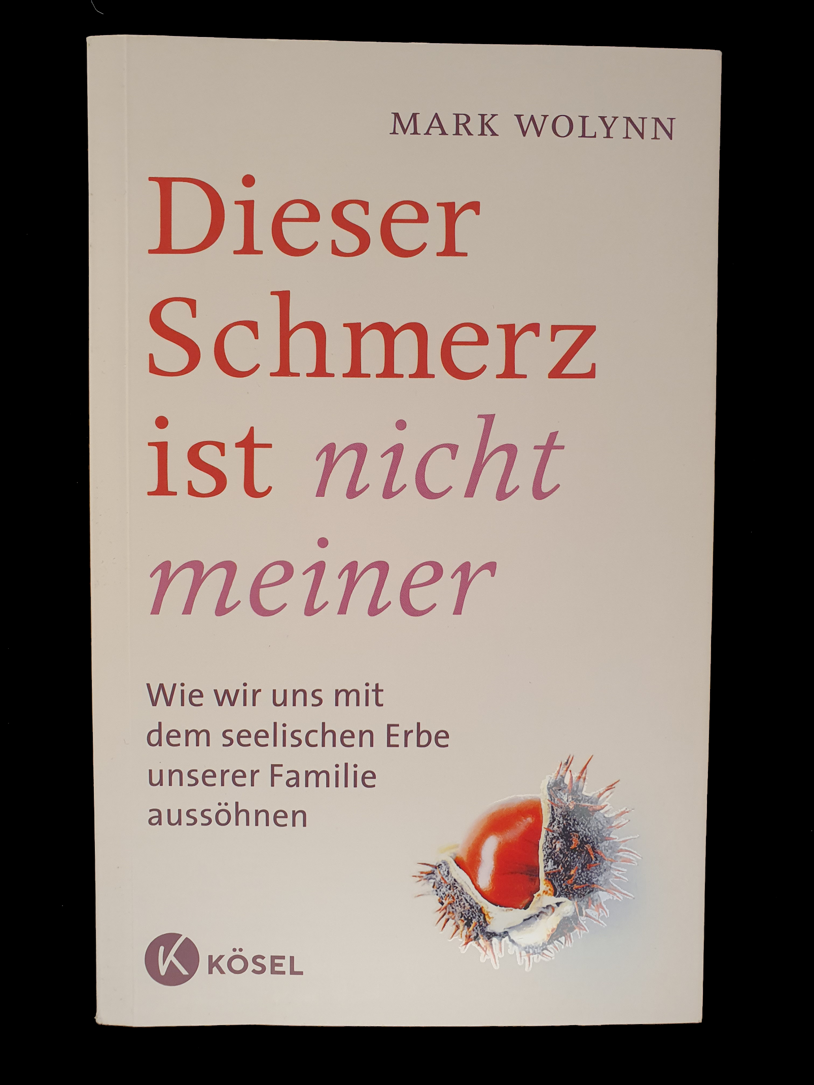 Buchcover – Was immer du willst! von Kurt Tepperwein